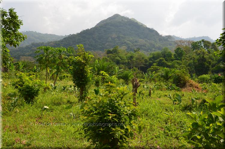 Ghana: Mount Afadjato