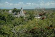 Tikal: Ancient Mayan Ruins