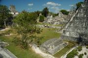 Tikal: Ancient Mayan Ruins