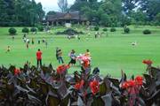Bogor: Botanische Tuin
