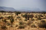 Namibie: onderweg