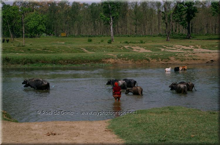 Nepal: Chitwan National Park