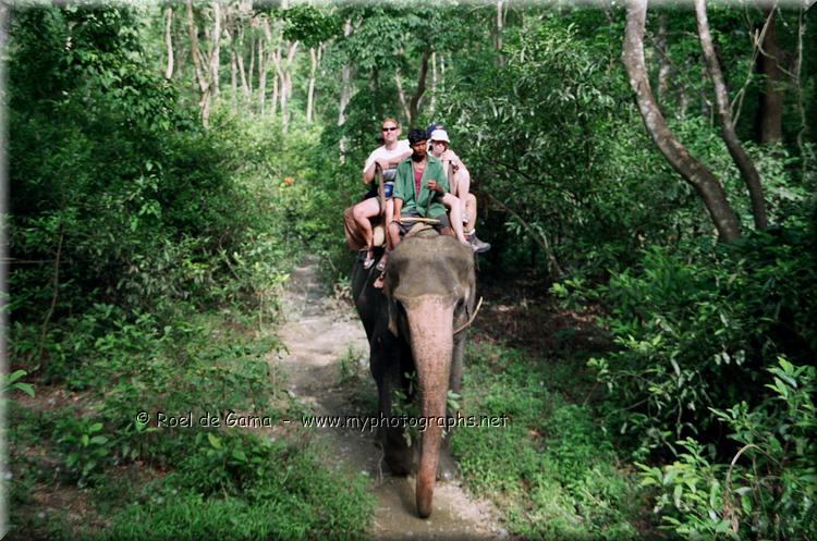 Nepal: Chitwan National Park