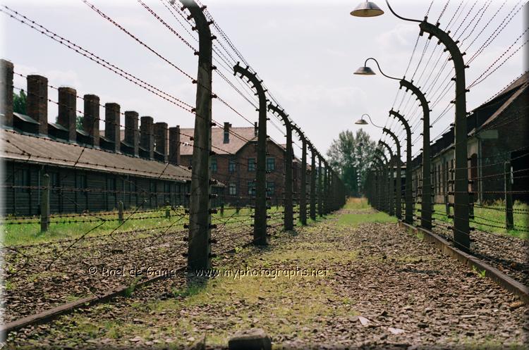Oswiecim: Auschwitz