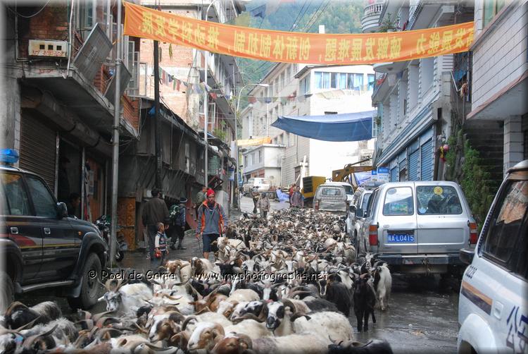 Tibet: Zhangmu